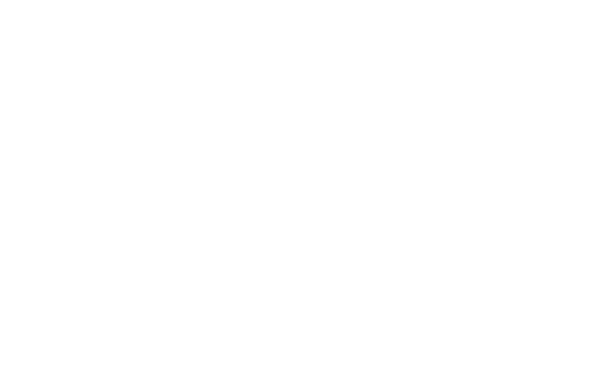 MISHA BROTHERS COMPANY LTD